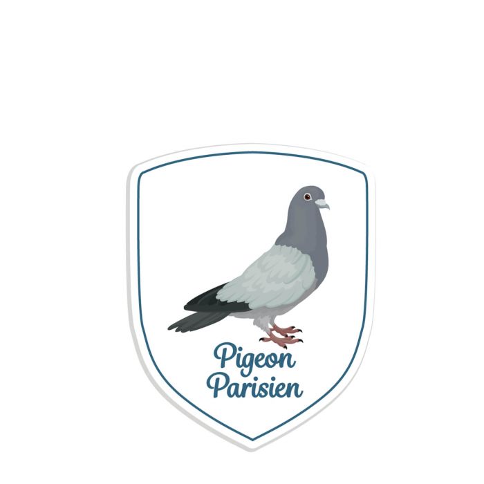 Autocollant sticker Parisiens Parisiennes Pigeon parisien