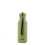 Gourde en acier inoxydable 500 ml Mr. Dino