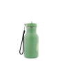 Gourde en acier inoxydable 350 ml Mr. Frog