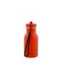 Gourde en acier inoxydable 350 ml Mr. Parrot