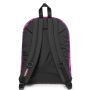 Sac à dos Pinnacle 38 Litres Brize Palm Pink