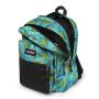 Sac à dos Pinnacle 38 Litres Brize Palm Aqua