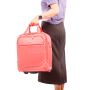 Valise underseat souple S48501 2-en-1 EasyJet 45 cm Gris