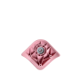 Lot de 2 roues de rechange W00849CD00063 Freestyle Droite/Gauche Pivoine