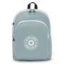 Sac à dos ordinateur Curtis L 24 Litres Relaxed Grey