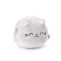 Coussin Super Soft Kitty