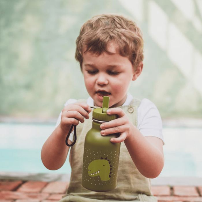 Gourde en acier inoxydable 350 ml Mr. Dino