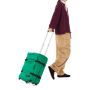 Valise cabine souple Transit'R Plus S Shamrock Green