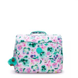 KI36527EC/AQUABLOSSOM CODIE M SCOLAIRE