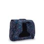 KI76224FK/DISCOFISH CODIE L SCOLAIRE
