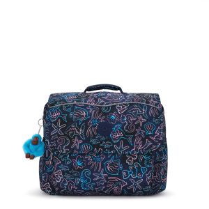 KI76224FK/DISCOFISH CODIE L SCOLAIRE